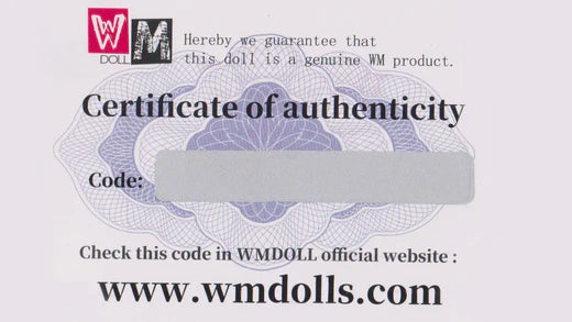 WM Doll - System For Detecting Counterfeit Codes